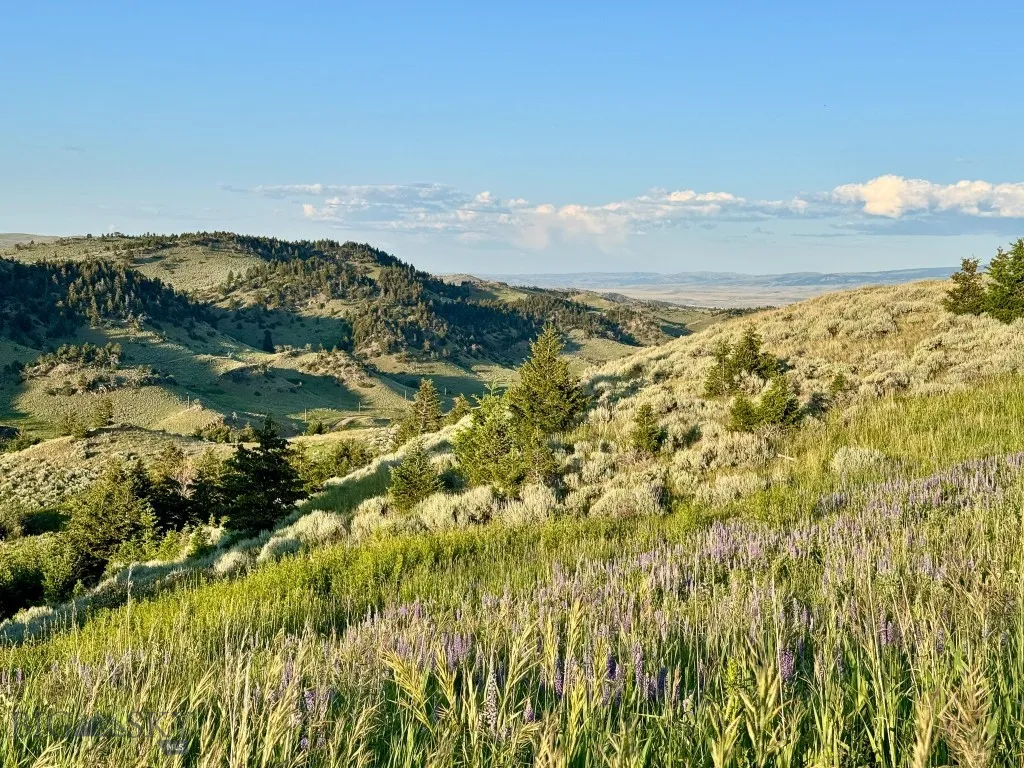 94 Sky Band Trail, Livingston, Montana 59047, Livingston, Montana 59047, 3 Bedrooms Bedrooms, ,3 BathroomsBathrooms,Residential,For Sale,94 Sky Band Trail, Livingston, Montana 59047,403634