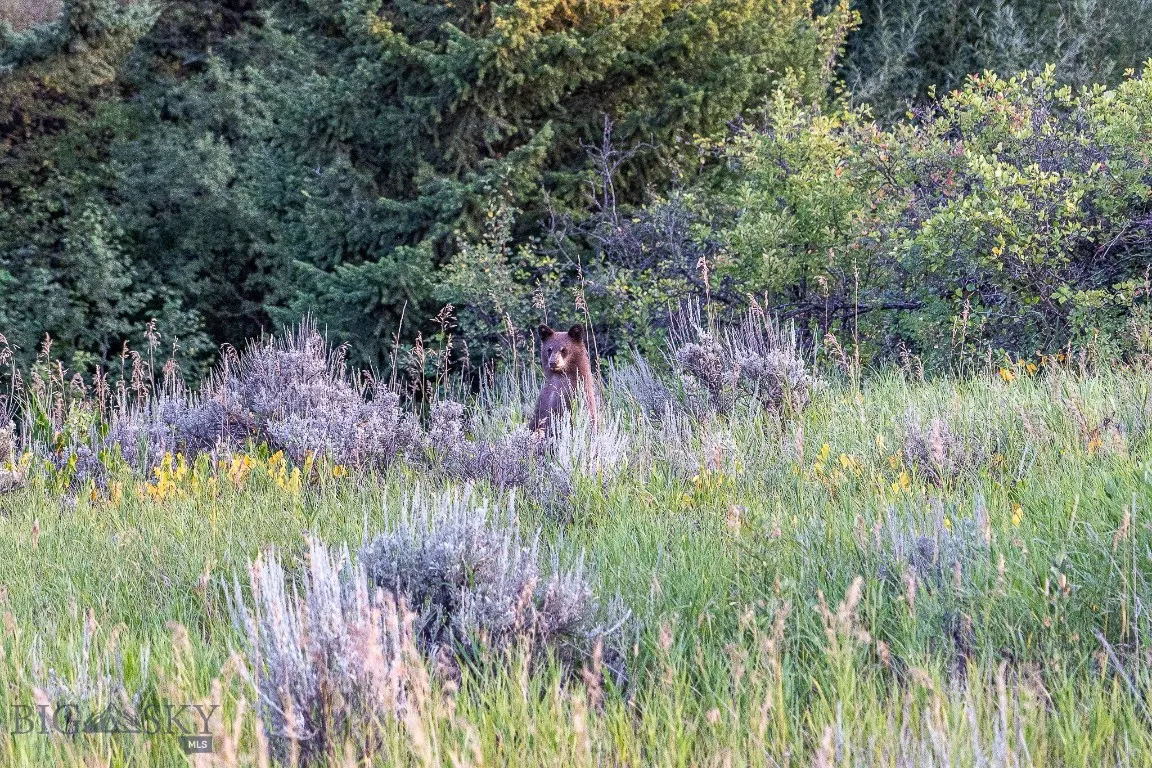 94 Sky Band Trail, Livingston, Montana 59047, Livingston, Montana 59047, 3 Bedrooms Bedrooms, ,3 BathroomsBathrooms,Residential,For Sale,94 Sky Band Trail, Livingston, Montana 59047,403634