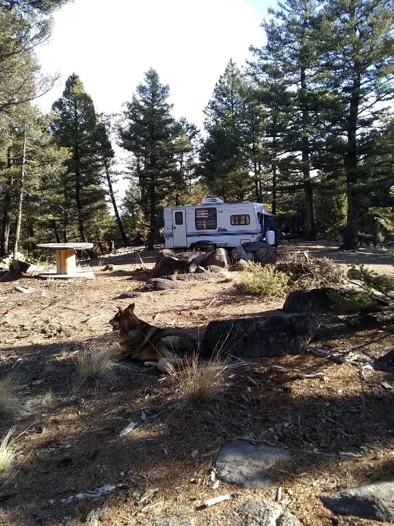 16 Friendspring, None, Montana 59759, Whitehall, Montana 59759, 4 Bedrooms Bedrooms, ,3 BathroomsBathrooms,Residential,For Sale,16 Friendspring, None, Montana 59759,0,403605
