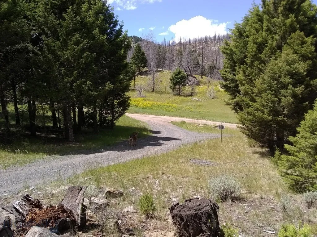 16 Friendspring, None, Montana 59759, Whitehall, Montana 59759, 4 Bedrooms Bedrooms, ,3 BathroomsBathrooms,Residential,For Sale,16 Friendspring, None, Montana 59759,0,403605