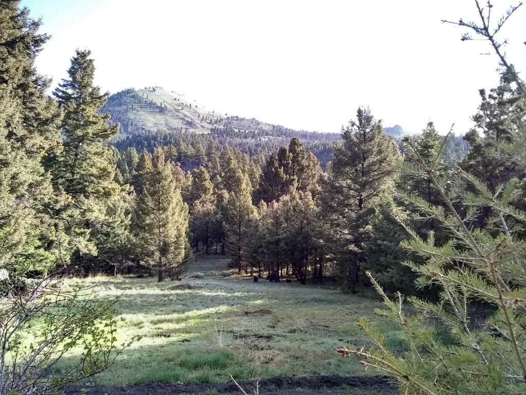 16 Friendspring, None, Montana 59759, Whitehall, Montana 59759, 4 Bedrooms Bedrooms, ,3 BathroomsBathrooms,Residential,For Sale,16 Friendspring, None, Montana 59759,0,403605