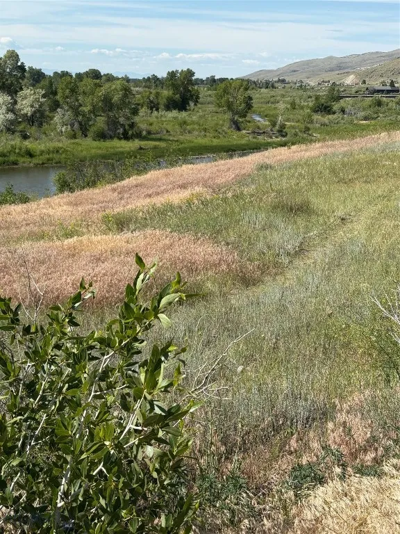 View from bluff at back of lot