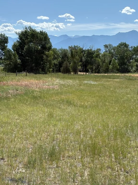 Back of lot toward River