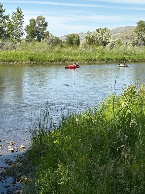 Looking Up River at floaters