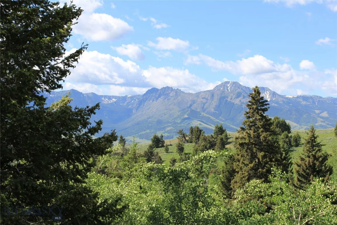 524 Grizzly Meadow Road, Emigrant, Montana 59027, Emigrant, Montana 59027, 1 Bedroom Bedrooms, ,1 BathroomBathrooms,Residential,For Sale,524 Grizzly Meadow Road, Emigrant, Montana 59027,403541