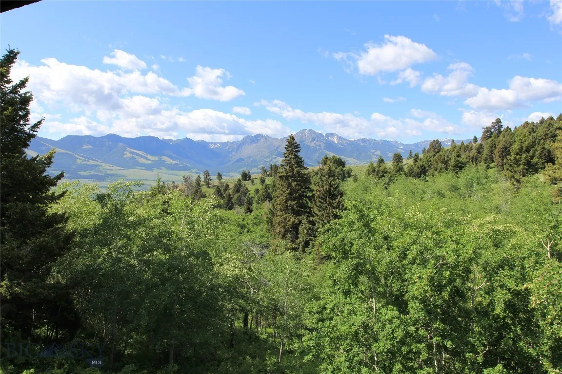 524 Grizzly Meadow Road, Emigrant, Montana 59027, Emigrant, Montana 59027, 1 Bedroom Bedrooms, ,1 BathroomBathrooms,Residential,For Sale,524 Grizzly Meadow Road, Emigrant, Montana 59027,403541