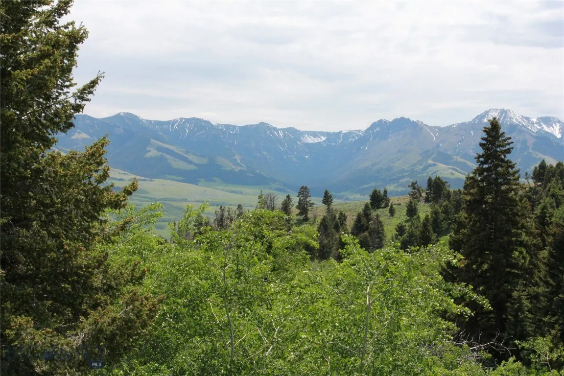 524 Grizzly Meadow Road, Emigrant, Montana 59027, Emigrant, Montana 59027, 1 Bedroom Bedrooms, ,1 BathroomBathrooms,Residential,For Sale,524 Grizzly Meadow Road, Emigrant, Montana 59027,403541