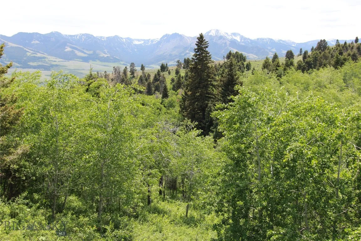 524 Grizzly Meadow Road, Emigrant, Montana 59027, Emigrant, Montana 59027, 1 Bedroom Bedrooms, ,1 BathroomBathrooms,Residential,For Sale,524 Grizzly Meadow Road, Emigrant, Montana 59027,403541