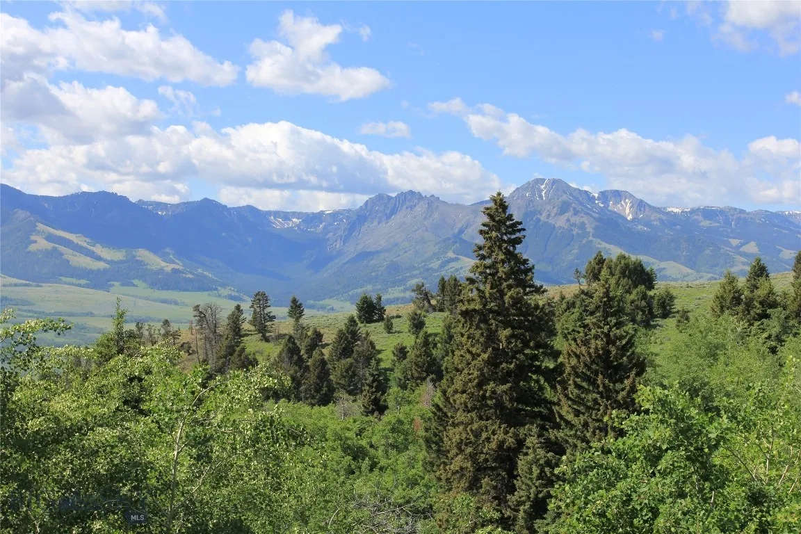 524 Grizzly Meadow Road, Emigrant, Montana 59027, Emigrant, Montana 59027, 1 Bedroom Bedrooms, ,1 BathroomBathrooms,Residential,For Sale,524 Grizzly Meadow Road, Emigrant, Montana 59027,403541