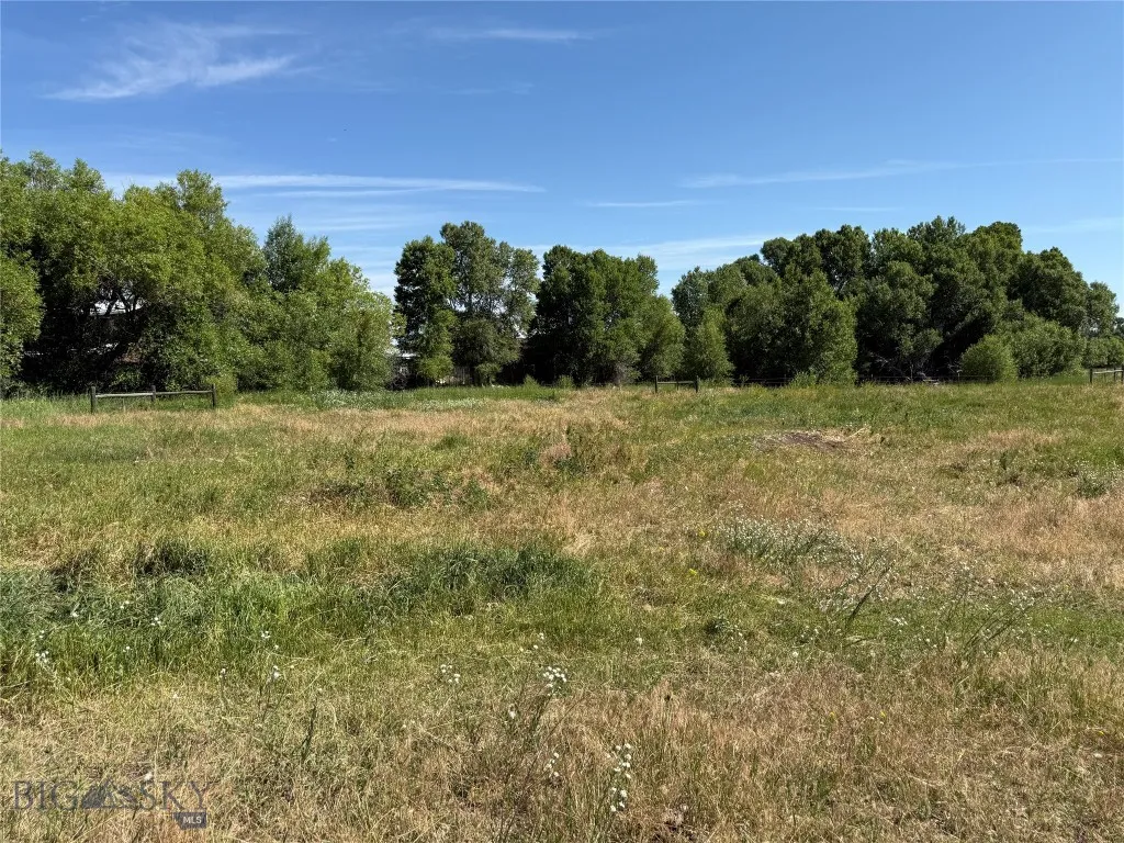 16, Big Timber, Montana 59011, Big Timber, Montana 59011, ,Land,For Sale,16, Big Timber, Montana 59011,0,403504