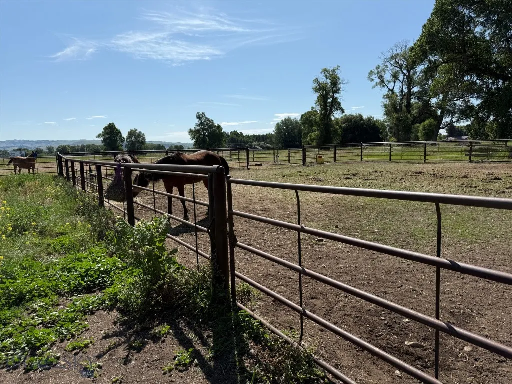 16, Big Timber, Montana 59011, Big Timber, Montana 59011, ,Land,For Sale,16, Big Timber, Montana 59011,0,403504