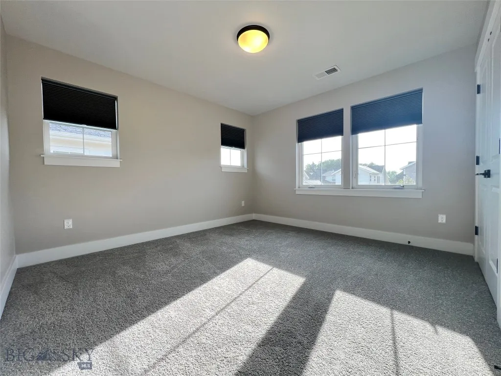 New Carpet
