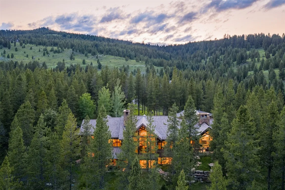 Aerial