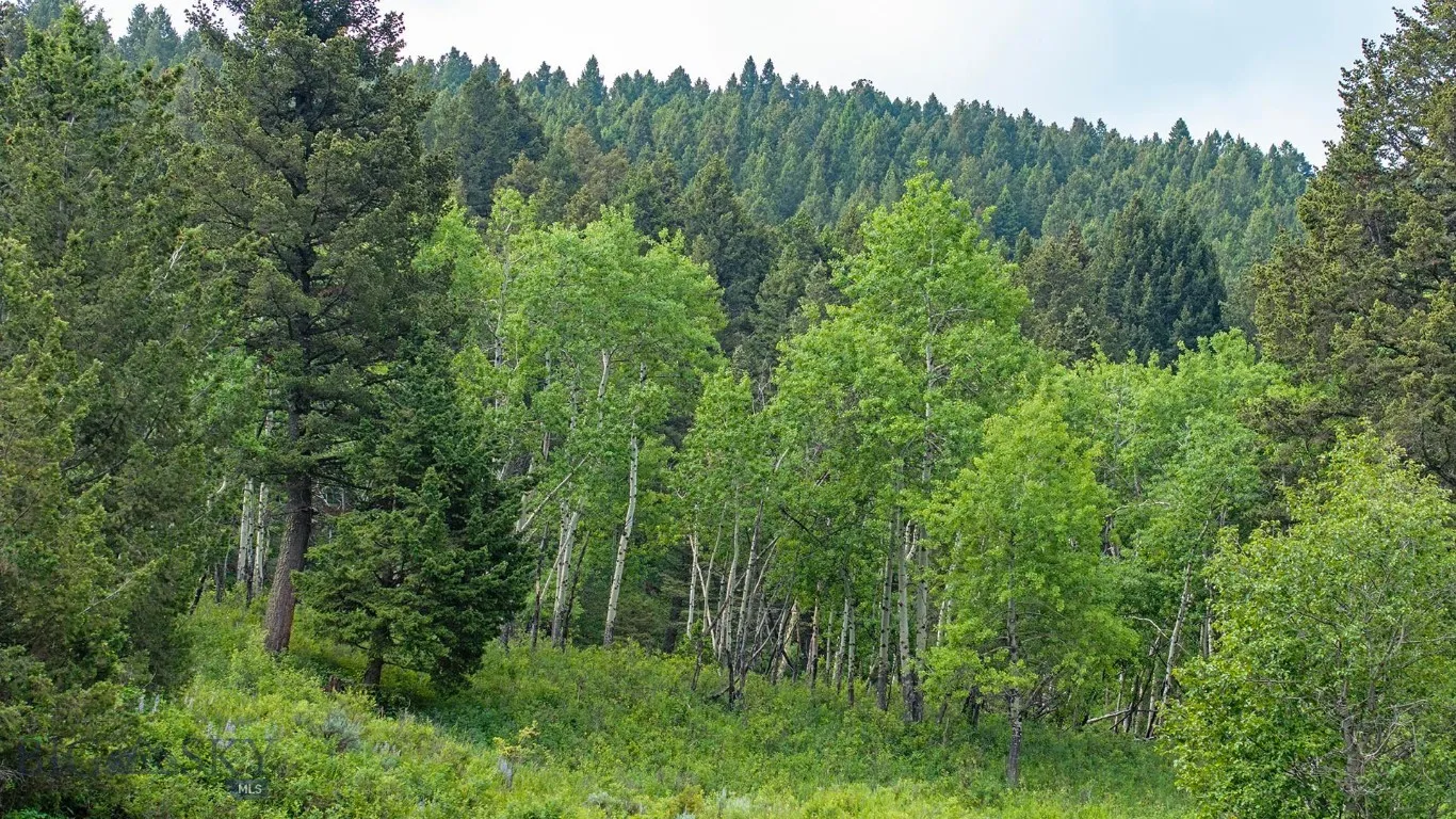 Tbd Willow Creek N Fork Road, Livingston, Montana, Livingston, Montana 59047, ,Land,For Sale,Tbd Willow Creek N Fork Road, Livingston, Montana ,403519