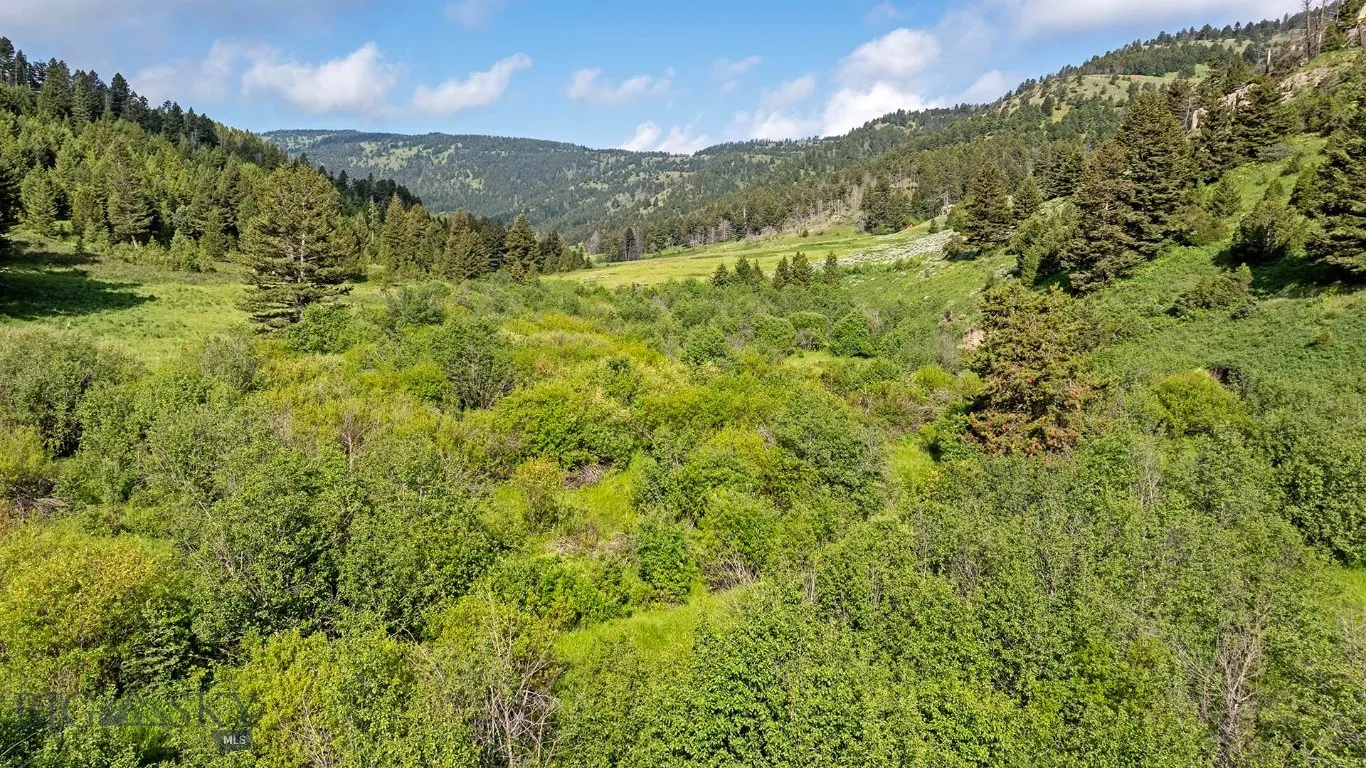 Tbd Willow Creek N Fork Road, Livingston, Montana, Livingston, Montana 59047, ,Land,For Sale,Tbd Willow Creek N Fork Road, Livingston, Montana ,403519