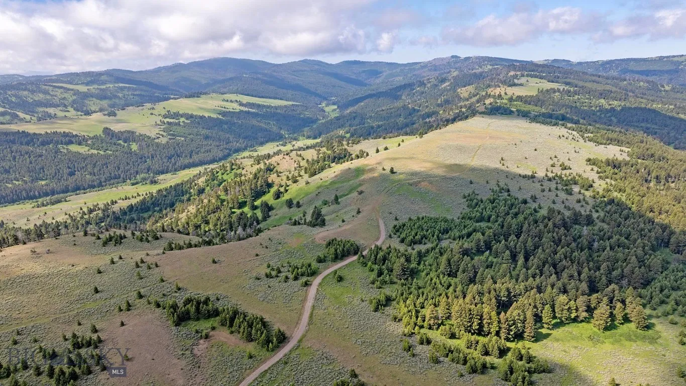 Tbd Willow Creek N Fork Road, Livingston, Montana, Livingston, Montana 59047, ,Land,For Sale,Tbd Willow Creek N Fork Road, Livingston, Montana ,403519
