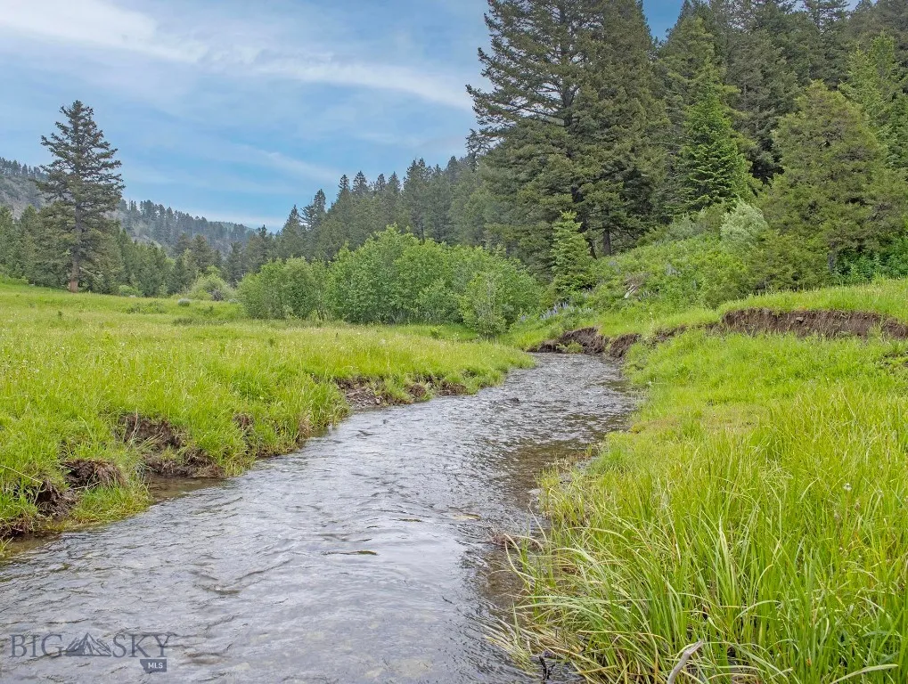 Tbd Willow Creek N Fork Road, Livingston, Montana, Livingston, Montana 59047, ,Land,For Sale,Tbd Willow Creek N Fork Road, Livingston, Montana ,403519
