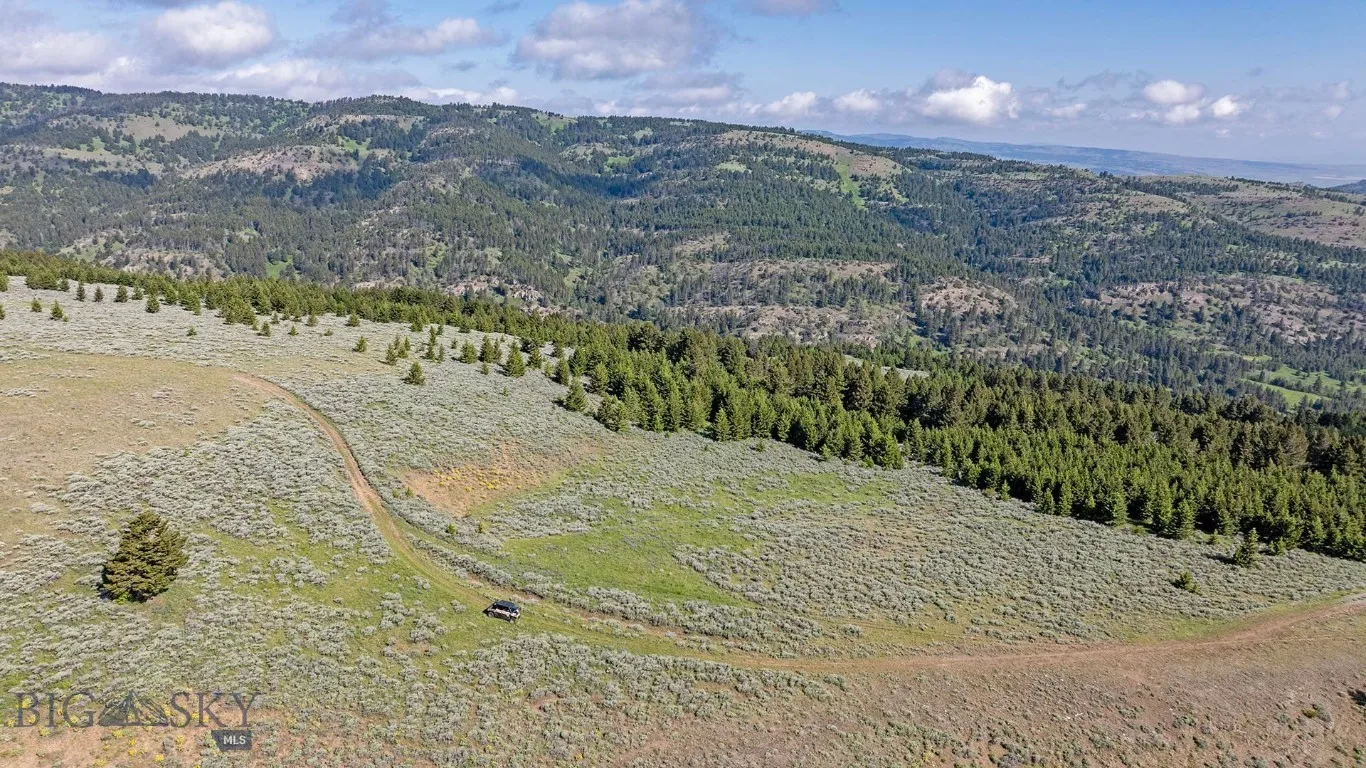 Tbd Willow Creek N Fork Road, Livingston, Montana, Livingston, Montana 59047, ,Land,For Sale,Tbd Willow Creek N Fork Road, Livingston, Montana ,403519