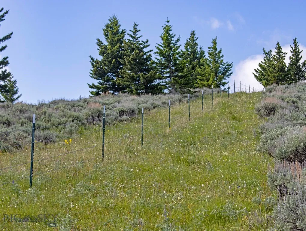 Tbd Willow Creek N Fork Road, Livingston, Montana, Livingston, Montana 59047, ,Land,For Sale,Tbd Willow Creek N Fork Road, Livingston, Montana ,403519