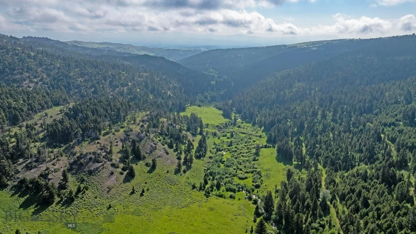 Tbd Willow Creek N Fork Road, Livingston, Montana, Livingston, Montana 59047, ,Land,For Sale,Tbd Willow Creek N Fork Road, Livingston, Montana ,403519