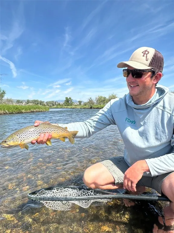 Nearby Madison River brown trout