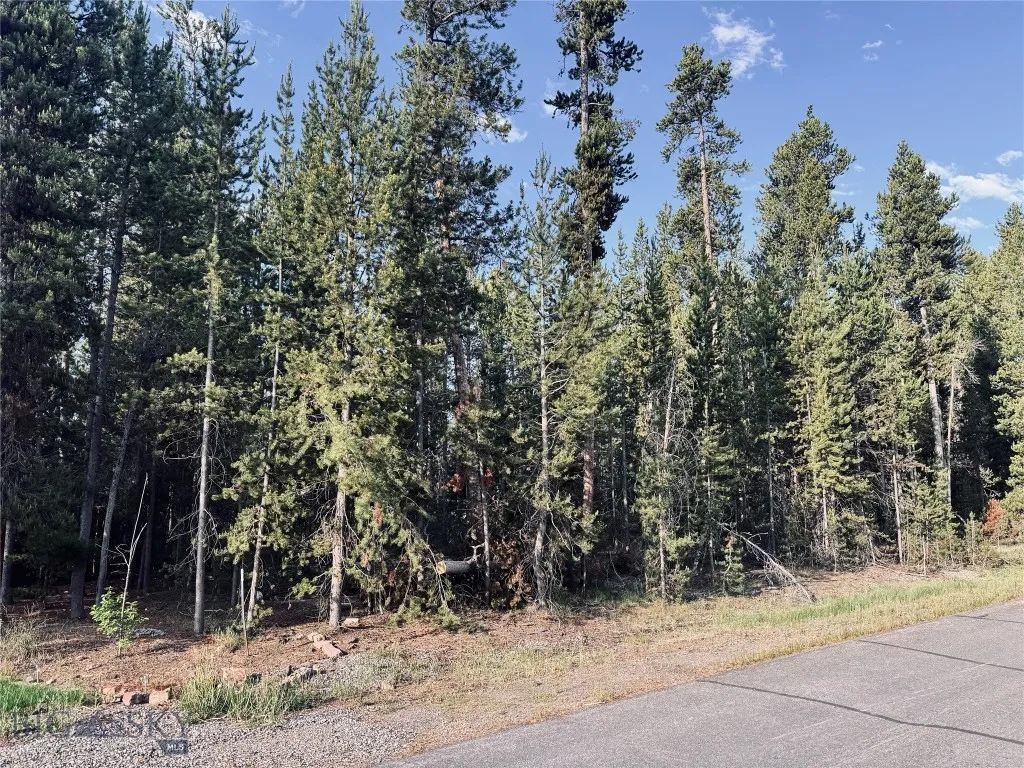 613 Apollinaris Avenue, West Yellowstone, Montana, West Yellowstone, Montana 59758, ,Land,For Sale,613 Apollinaris Avenue, West Yellowstone, Montana ,0,403738