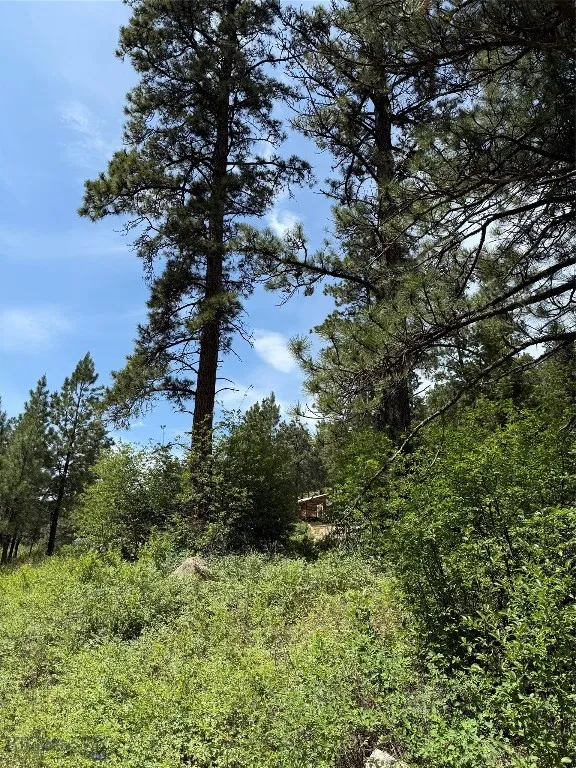 Nhn Little Wolf Creek Road, Wolf Creek, Montana 59, Wolf Creek, Montana 59648, ,Land,For Sale,Nhn Little Wolf Creek Road, Wolf Creek, Montana 59,403527