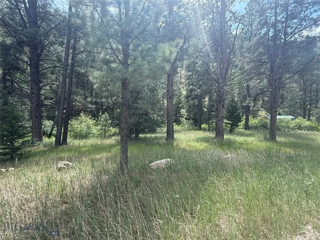 Nhn Little Wolf Creek Road, Wolf Creek, Montana 59, Wolf Creek, Montana 59648, ,Land,For Sale,Nhn Little Wolf Creek Road, Wolf Creek, Montana 59,403527
