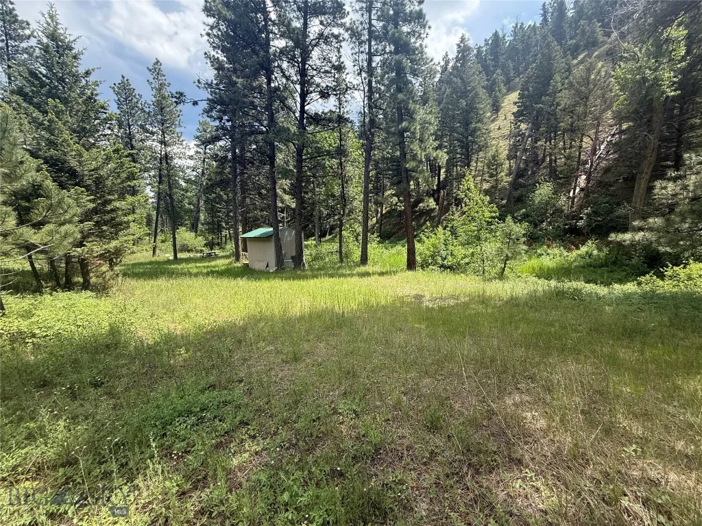 Nhn Little Wolf Creek Road, Wolf Creek, Montana 59, Wolf Creek, Montana 59648, ,Land,For Sale,Nhn Little Wolf Creek Road, Wolf Creek, Montana 59,403527