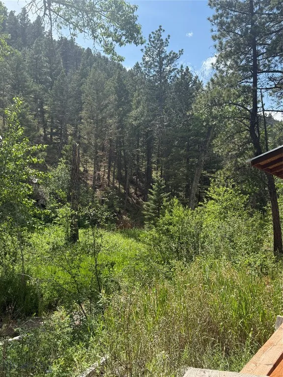 Nhn Little Wolf Creek Road, Wolf Creek, Montana 59, Wolf Creek, Montana 59648, ,Land,For Sale,Nhn Little Wolf Creek Road, Wolf Creek, Montana 59,403527