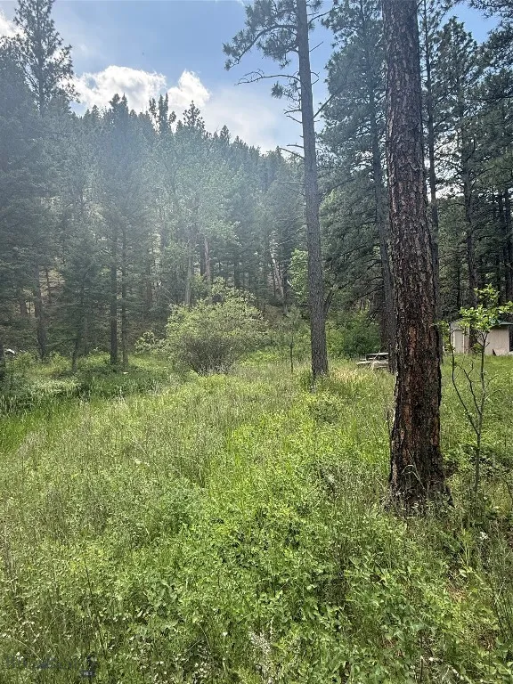 Nhn Little Wolf Creek Road, Wolf Creek, Montana 59, Wolf Creek, Montana 59648, ,Land,For Sale,Nhn Little Wolf Creek Road, Wolf Creek, Montana 59,403527