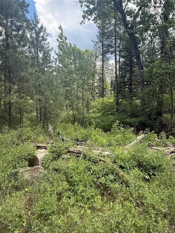 Nhn Little Wolf Creek Road, Wolf Creek, Montana 59, Wolf Creek, Montana 59648, ,Land,For Sale,Nhn Little Wolf Creek Road, Wolf Creek, Montana 59,403527
