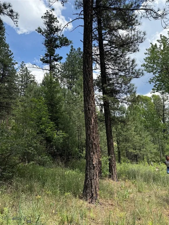 Nhn Little Wolf Creek Road, Wolf Creek, Montana 59, Wolf Creek, Montana 59648, ,Land,For Sale,Nhn Little Wolf Creek Road, Wolf Creek, Montana 59,403527