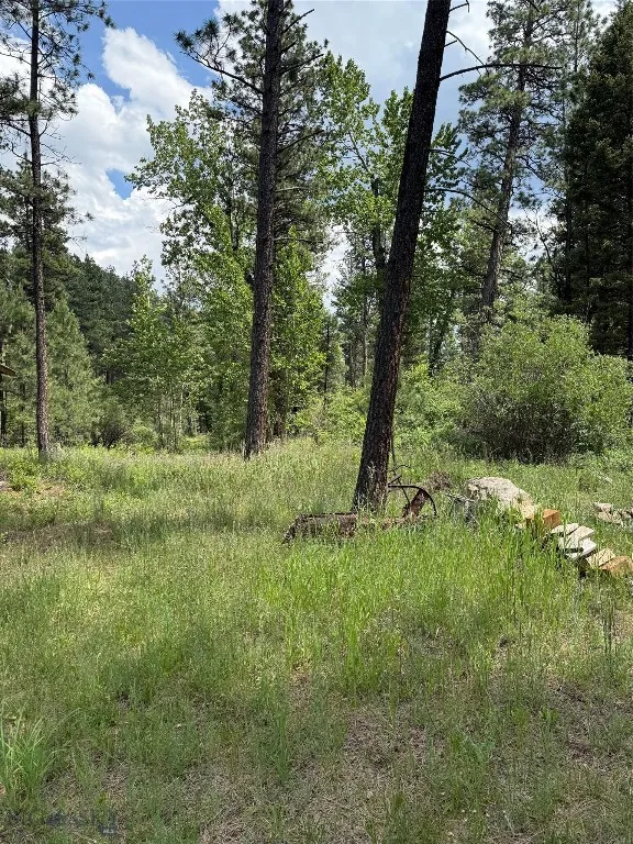 Nhn Little Wolf Creek Road, Wolf Creek, Montana 59, Wolf Creek, Montana 59648, ,Land,For Sale,Nhn Little Wolf Creek Road, Wolf Creek, Montana 59,403527