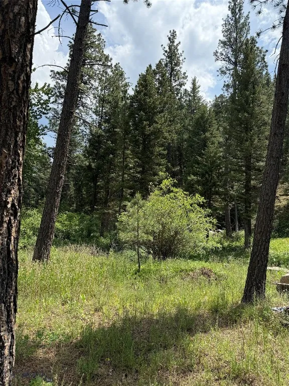 Nhn Little Wolf Creek Road, Wolf Creek, Montana 59, Wolf Creek, Montana 59648, ,Land,For Sale,Nhn Little Wolf Creek Road, Wolf Creek, Montana 59,403527