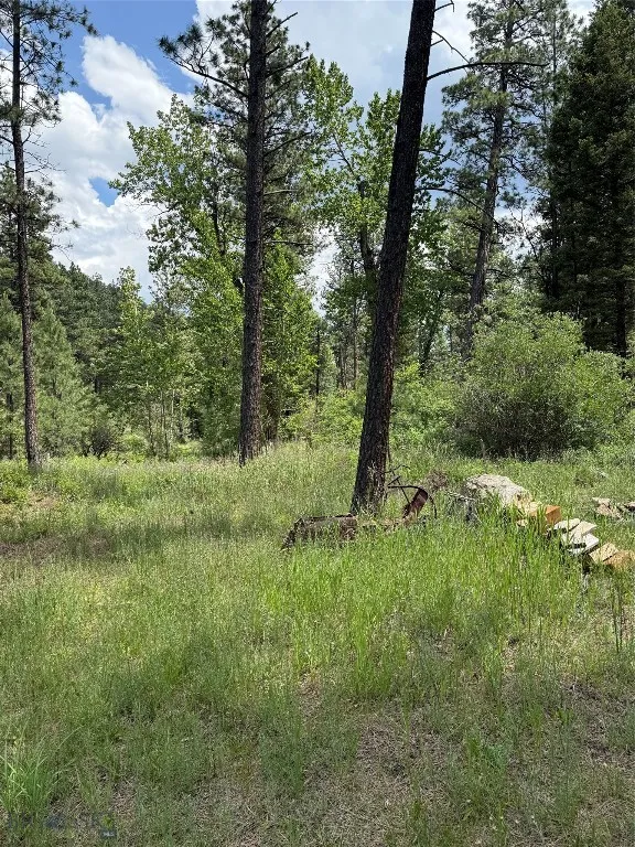 Nhn Little Wolf Creek Road, Wolf Creek, Montana 59, Wolf Creek, Montana 59648, ,Land,For Sale,Nhn Little Wolf Creek Road, Wolf Creek, Montana 59,403527