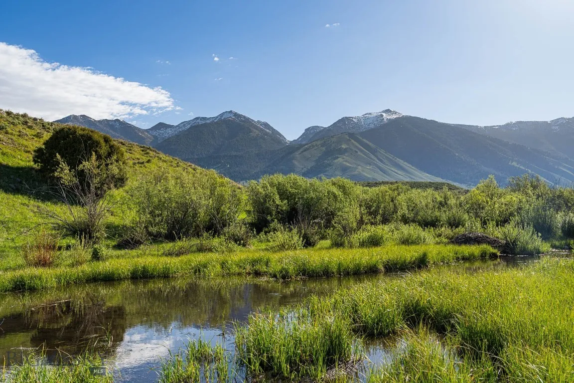 Tbd Tbd, Cameron, Montana 59720, Cameron, Montana 59720, ,Land,For Sale,Tbd Tbd, Cameron, Montana 59720,403649