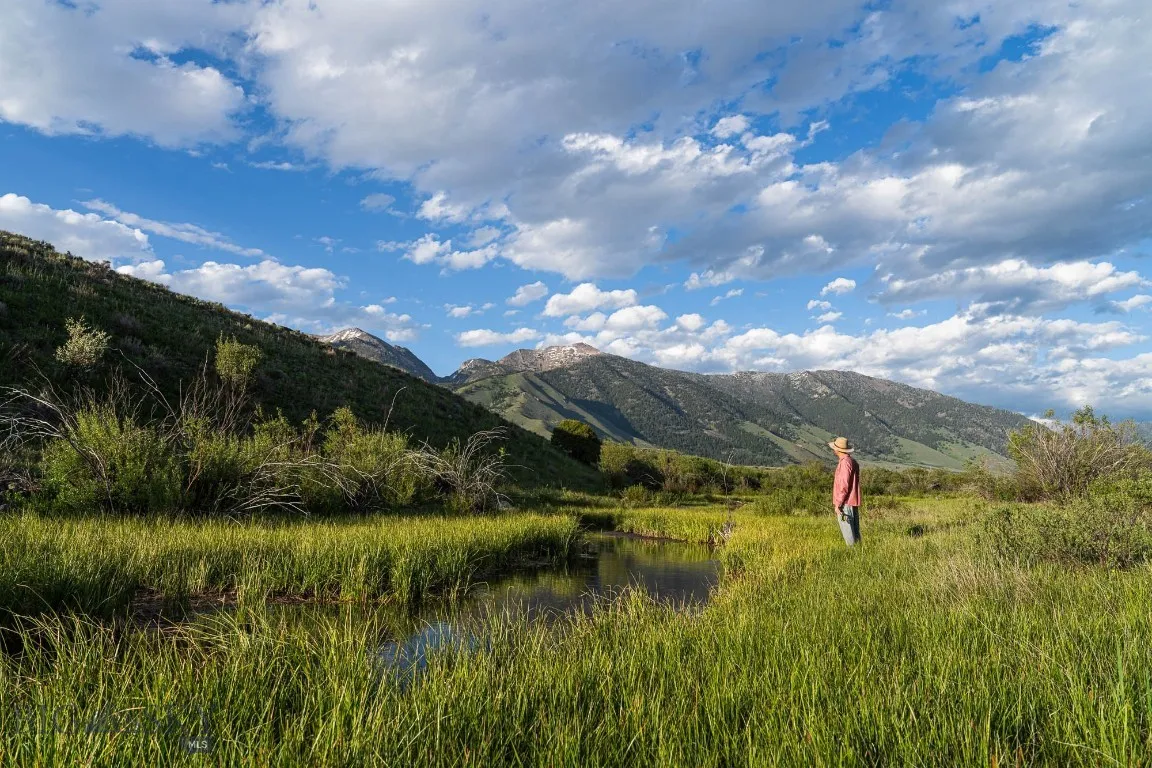 Tbd Tbd, Cameron, Montana 59720, Cameron, Montana 59720, ,Land,For Sale,Tbd Tbd, Cameron, Montana 59720,403649