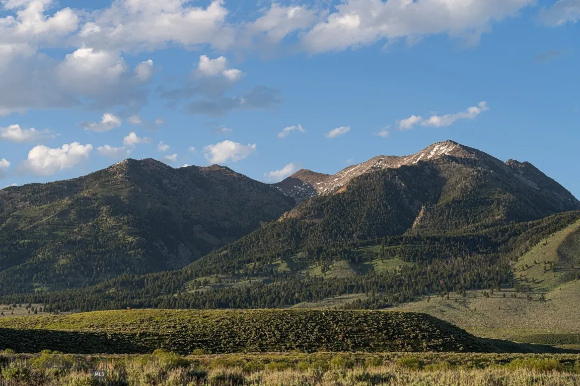 Tbd Tbd, Cameron, Montana 59720, Cameron, Montana 59720, ,Land,For Sale,Tbd Tbd, Cameron, Montana 59720,403649