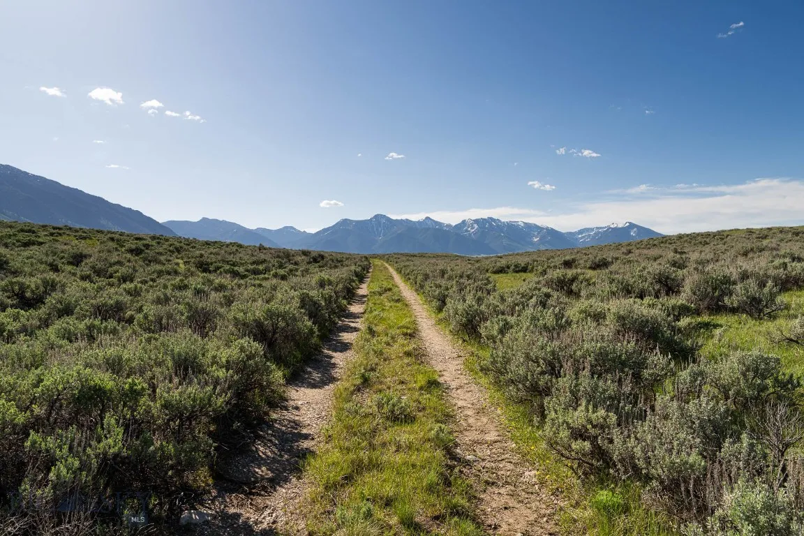 Tbd Tbd, Cameron, Montana 59720, Cameron, Montana 59720, ,Land,For Sale,Tbd Tbd, Cameron, Montana 59720,403649