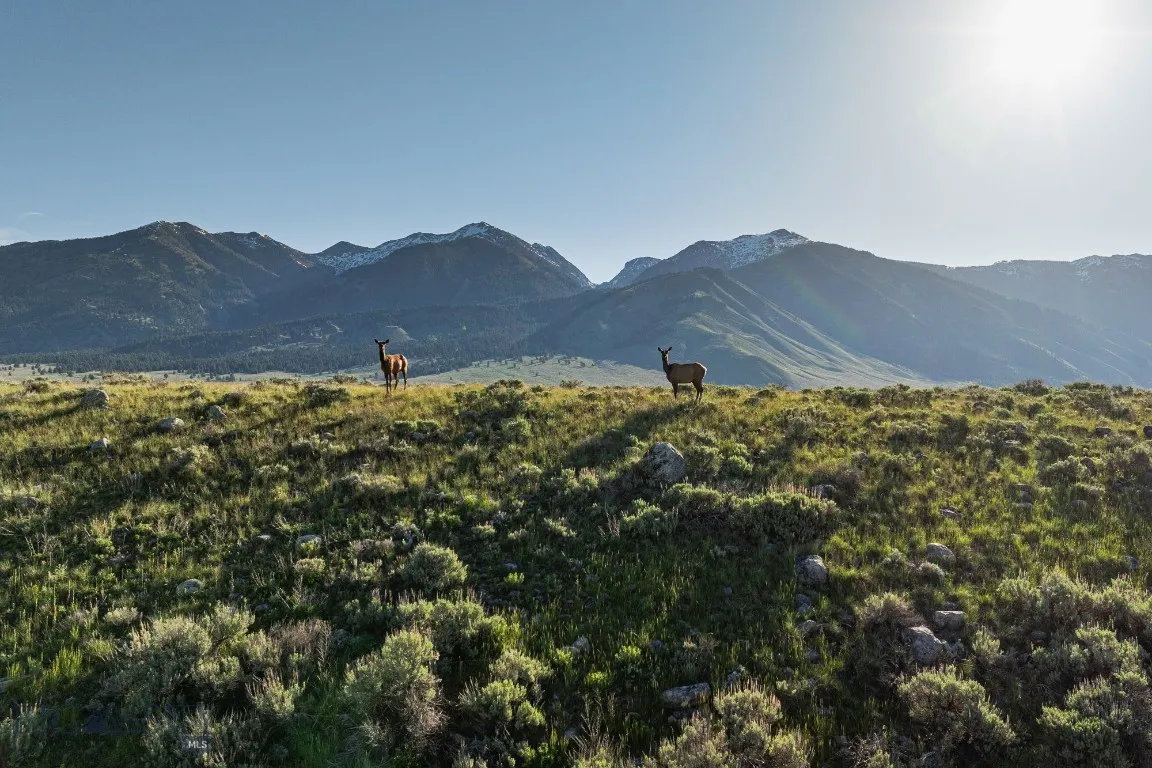 Tbd Tbd, Cameron, Montana 59720, Cameron, Montana 59720, ,Land,For Sale,Tbd Tbd, Cameron, Montana 59720,403649