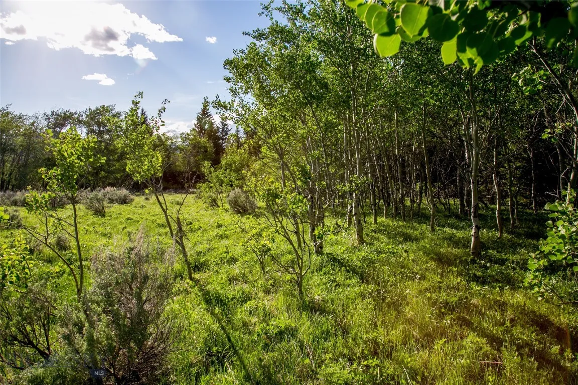 Sun West Ranch Lot 34, Cameron, Montana 59720, Cameron, Montana 59720, ,Land,For Sale,Sun West Ranch Lot 34, Cameron, Montana 59720,0,403617