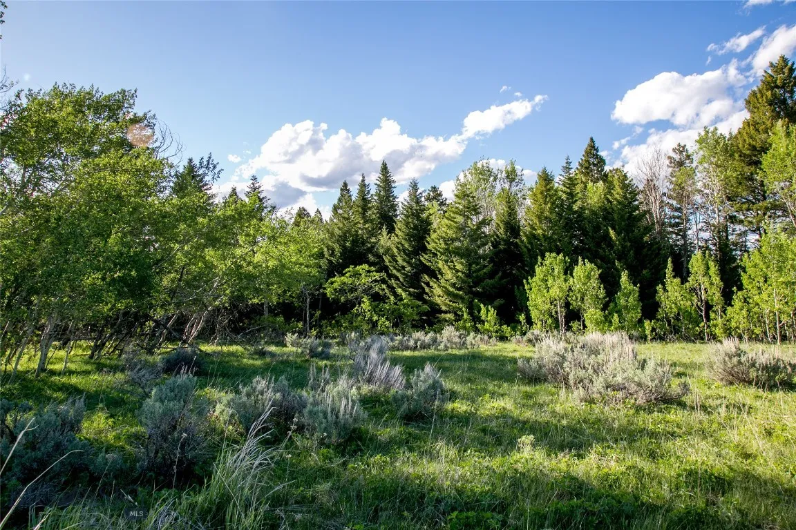Sun West Ranch Lot 34, Cameron, Montana 59720, Cameron, Montana 59720, ,Land,For Sale,Sun West Ranch Lot 34, Cameron, Montana 59720,0,403617