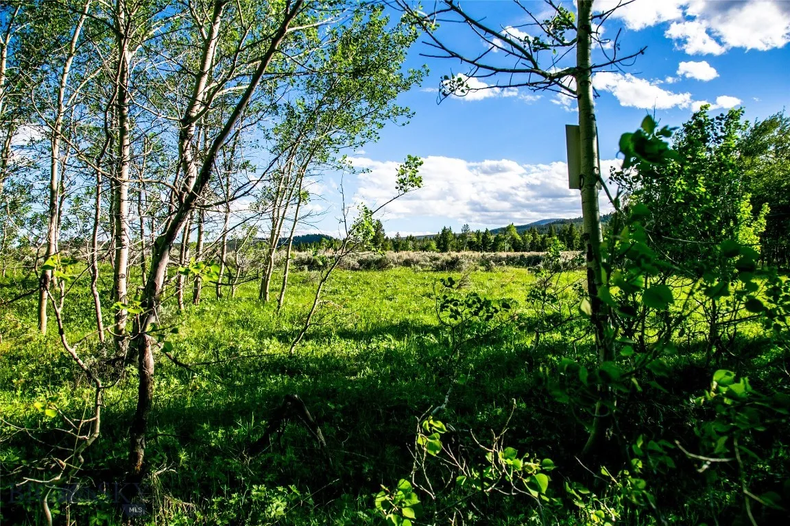 Sun West Ranch Lot 34, Cameron, Montana 59720, Cameron, Montana 59720, ,Land,For Sale,Sun West Ranch Lot 34, Cameron, Montana 59720,0,403617