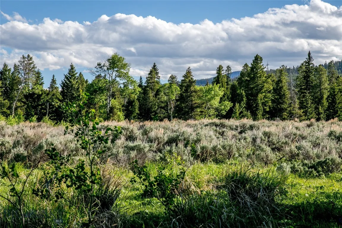 Sun West Ranch Lot 34, Cameron, Montana 59720, Cameron, Montana 59720, ,Land,For Sale,Sun West Ranch Lot 34, Cameron, Montana 59720,0,403617