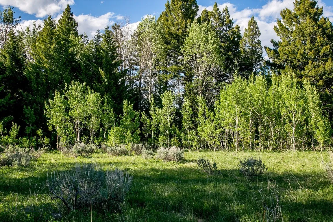 Sun West Ranch Lot 34, Cameron, Montana 59720, Cameron, Montana 59720, ,Land,For Sale,Sun West Ranch Lot 34, Cameron, Montana 59720,0,403617