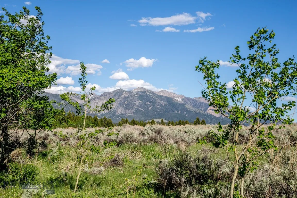 Sun West Ranch Lot 34, Cameron, Montana 59720, Cameron, Montana 59720, ,Land,For Sale,Sun West Ranch Lot 34, Cameron, Montana 59720,0,403617