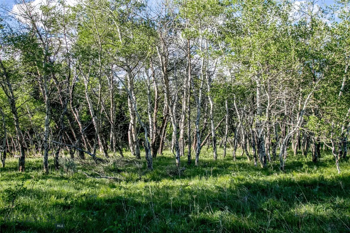 Sun West Ranch Lot 34, Cameron, Montana 59720, Cameron, Montana 59720, ,Land,For Sale,Sun West Ranch Lot 34, Cameron, Montana 59720,0,403617