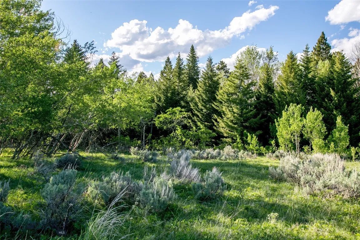 Sun West Ranch Lot 34, Cameron, Montana 59720, Cameron, Montana 59720, ,Land,For Sale,Sun West Ranch Lot 34, Cameron, Montana 59720,0,403617