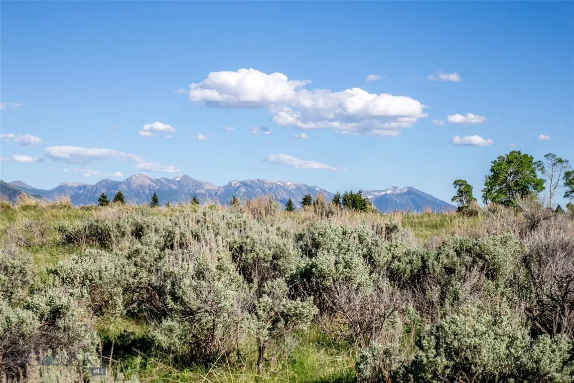 Sun West Ranch Lot 34, Cameron, Montana 59720, Cameron, Montana 59720, ,Land,For Sale,Sun West Ranch Lot 34, Cameron, Montana 59720,0,403617